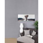 Miroir imprimé Taira éléphant Gris - Verre - 140 x 50 x 0.3 cm