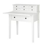 Secretaire Bernard Wit