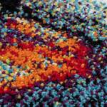 Laagpolig vloerkleed Thailand Rayong kunstvezels - meerdere kleuren - 80 x 150 cm