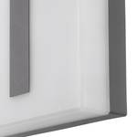 Applique murale Torazza Polycarbonate / Acier - 1 ampoule