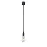 Ampoule Cocles Verre clair - 1 ampoule