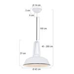 Hanglamp Mexlite XV staal - 1 lichtbron - Wit