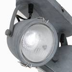 Plafonnier LED Mexlite Verre / Fer - Nb d'ampoules : 2