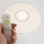 Plafonnier LED Viamao IV Plexiglas / Acier - 1 ampoule