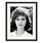 Bild Sophia Loren Buche massiv / Plexiglas - 42 x 52 cm