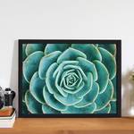 Afbeelding Arrangement of the Succulents Massief beukenhout/plexiglas - 42 x 32 cm