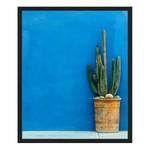 Tableau déco Blue Wall with Cactus Hêtre massif / Plexiglas - 52 x 62 cm