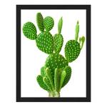 Tableau déco Cactus Hêtre massif / Plexiglas - 32 x 42 cm