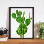 Bild Cactus Buche massiv / Plexiglas - 32 x 42 cm