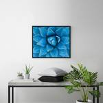 Bild Blue Agave Buche massiv / Plexiglas - 62 x 52 cm