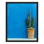 Tableau déco Blue Wall with Cactus Hêtre massif / Plexiglas - 42 x 52 cm