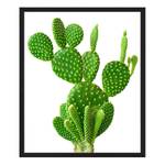 Tableau déco Cactus Hêtre massif / Plexiglas - 52 x 62 cm
