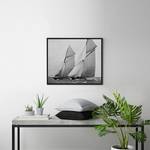 Bild Antique Sailing Boats Buche massiv / Plexiglas - 62 x 52 cm