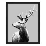 Bild Red Deer Buche massiv / Plexiglas - 42 x 52 cm