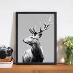 Bild Red Deer Buche massiv / Plexiglas - 32 x 42 cm