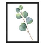 Tableau déco Eucalyptus Hêtre massif / Plexiglas - 42 x 52 cm