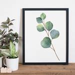 Bild Eucalyptus Buche massiv / Plexiglas - 42 x 52 cm