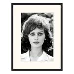 Bild Sophia Loren Buche massiv / Plexiglas - 62 x 82 cm