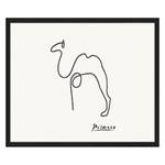 Bild Camel Buche massiv / Plexiglas - 62 x 52 cm