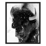 Bild Snowing black and white Buche massiv / Plexiglas - 52 x 62 cm