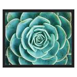 Afbeelding Arrangement of the Succulents Massief beukenhout/plexiglas - 52 x 42 cm