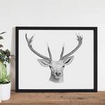 Tableau déco Oh Deer Hêtre massif / Plexiglas - 52 x 42 cm