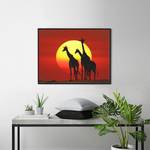 Tableau déco Sunset Giraffes Silhouette Hêtre massif / Plexiglas - 82 x 62 cm