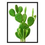 Tableau déco Cactus Hêtre massif / Plexiglas - 62 x 82 cm
