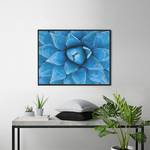 Bild Blue Agave Buche massiv / Plexiglas - 82 x 62 cm