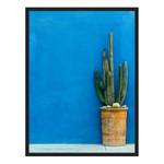 Afbeelding Blue Wall with Cactus Massief beukenhout/plexiglas - 62 x 82 cm