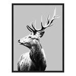 Afbeelding Red Deer Massief beukenhout/plexiglas - 62 x 82 cm
