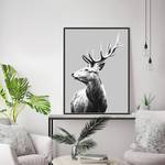 Afbeelding Red Deer Massief beukenhout/plexiglas - 62 x 82 cm