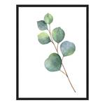Bild Eucalyptus Buche massiv / Plexiglas - 62 x 82 cm