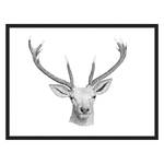 Tableau déco Oh Deer Hêtre massif / Plexiglas - 82 x 62 cm