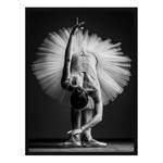 Bild Ballerina Buche massiv / Plexiglas - 62 x 82 cm