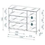 Kast Shino II Wit glas/wit