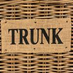 Truhe Trunk Rattan / Holz - Braun