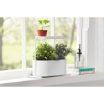 Plantenbak Giardino staal/ABS - wit