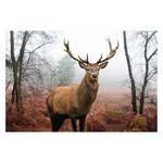 Tableau déco cerf dans la forêt Papier / MDF - Marron