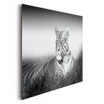 Bild Tiger Papier / MDF - Schwarz