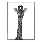 Bild Giraffe Papier / MDF - Schwarz