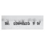 Tableau déco antilopes Papier / MDF - Blanc