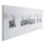 Tableau déco antilopes Papier / MDF - Blanc