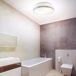 Plafonnier salle de bain Discs I Verre dépoli / Acier - 2 ampoules