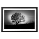 Bild Lonely Tree Massivholz Linde - Schwarz / Weiß