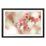 Bild Cherry Blossoms Massivholz Linde - Mehrfarbig