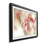 Bild Cherry Blossoms Massivholz Linde - Mehrfarbig