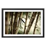 Tableau déco Bamboo Forest Tilleul massif - Multicolore