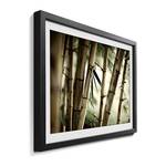 Tableau déco Bamboo Forest Tilleul massif - Multicolore