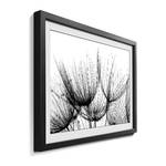 Afbeelding Detail of Dandelion Massief lindehout - zwart/wit